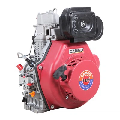 10 hk dieselmotor